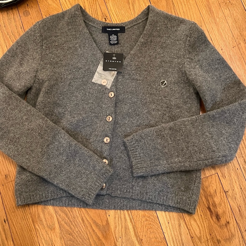 The Limited Wool and Angora Rabbit Hair V-Neck Stretch Sweater - Medium - Tags